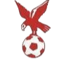 https://img.tljianbanji.com/img/football/team/4802d26df935b78bb2fcdbbff36e8864.png