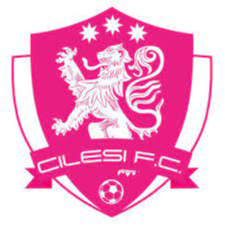 https://img.tljianbanji.com/img/football/team/7aa0eae9d284e6aab302a00cb5107481.png